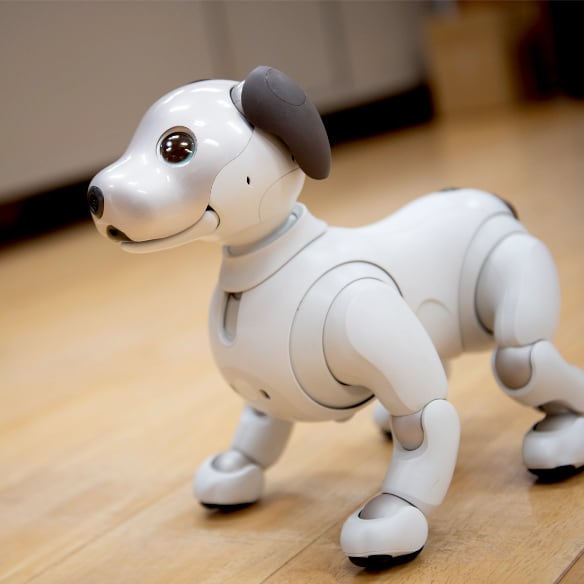 犬型ロボット